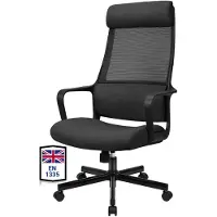 Dripio Silla de oficina ergonómica con soporte lumbar, regulable en altura, de color negro