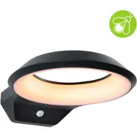 Paulmann . Lámpara LED para exterior, modelo Anela, con sensor de movimiento (IR) y control de luz ambiental, respetuosa con los insectos