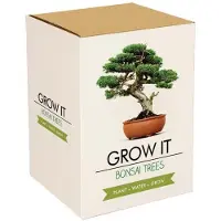 Merkloos Kit de bonsái - Planta bonsái - Set de regalo - 12,6 x 9,7 x 16,7 cm - Para interior y exterior
