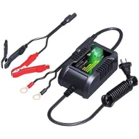 Skyrich Cargador 12v 2ah