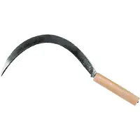 Falci FALCIOLA DENTADA, modelo n° 4/0 (S335/L22 mm)