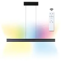 Paulmann Lámpara colgante LED Raiko, con tecnología RGBW y luz blanca ajustable, color negro