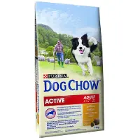 Purina DOG CHOW Active Adult, para perros adultos, sabor a pollo, 14 kg